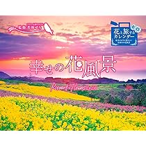 81kaxi+CE4L._AC_UL210_SR210,